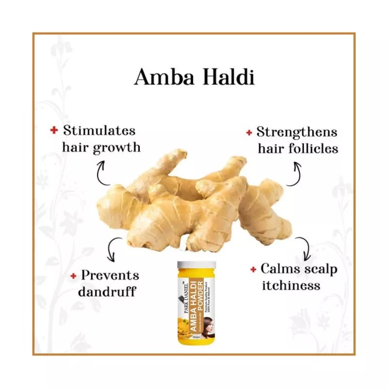 Park Daniel Amba Haldi Powder + Garlic Powder (Each 100g) (1Pack)