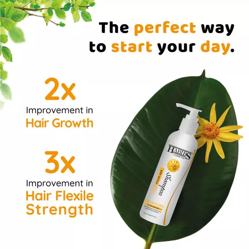Habibs Hair Shampoo With Arnica (200ml, Pack of 2)