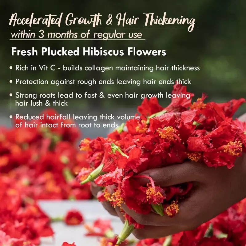 Nat Habit Fresh Hair Nutrimask 5-Oil Hibiscus Fuse (40g, Pack of 2)