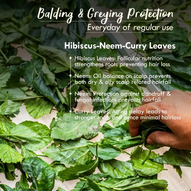 Nat Habit Fresh Hair Nutrimask 8 Herbs Hair Revital (40g, Pack of 2)