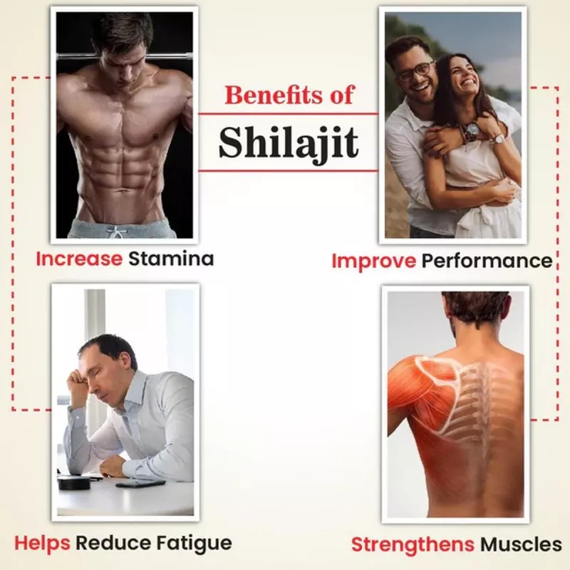 Cipzer Royal Shilajit (20g)
