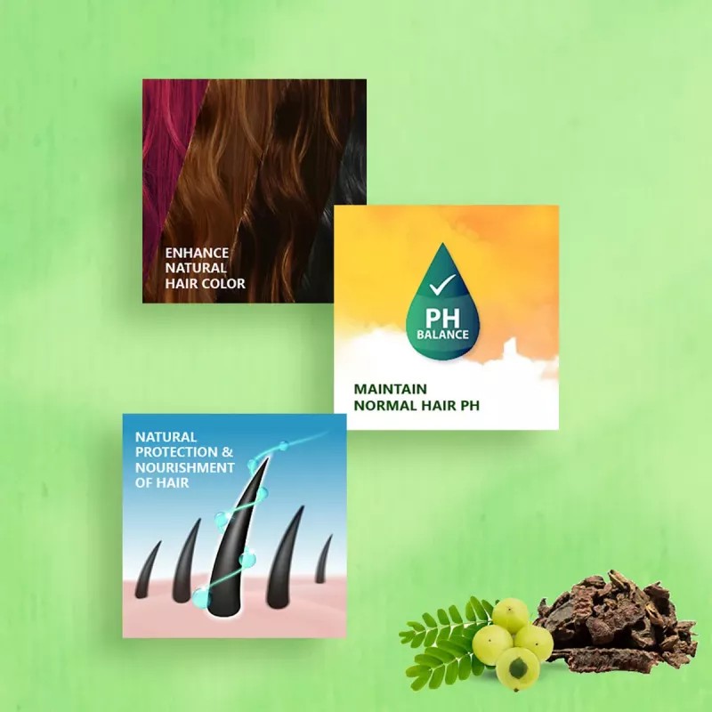 Bakson Sunny Hair Color (Black) (20g, Pack of 2)