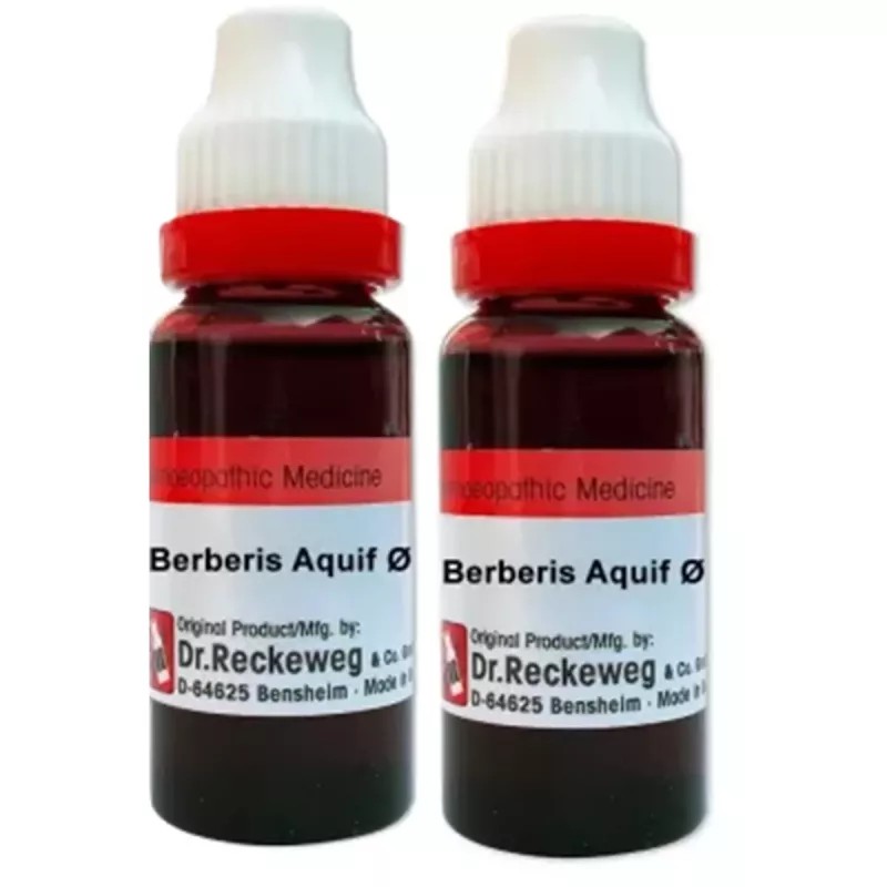 Dr Reckeweg Berberis Aquifolium 1X (Q) (20ml, Pack of 2)