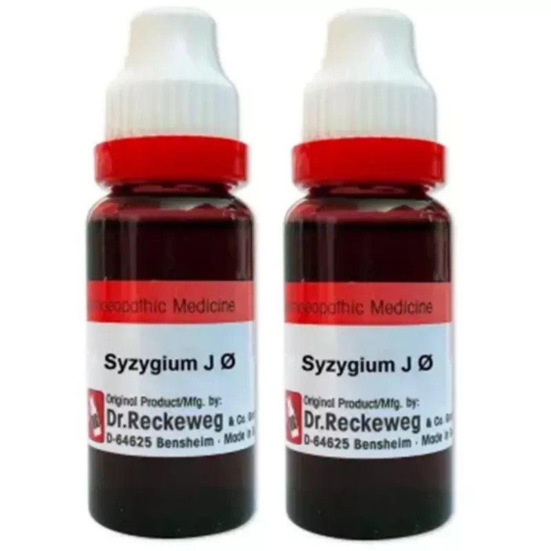 Dr Reckeweg Syzygium Jambolanum 1X (Q) (20ml, Pack of 2)
