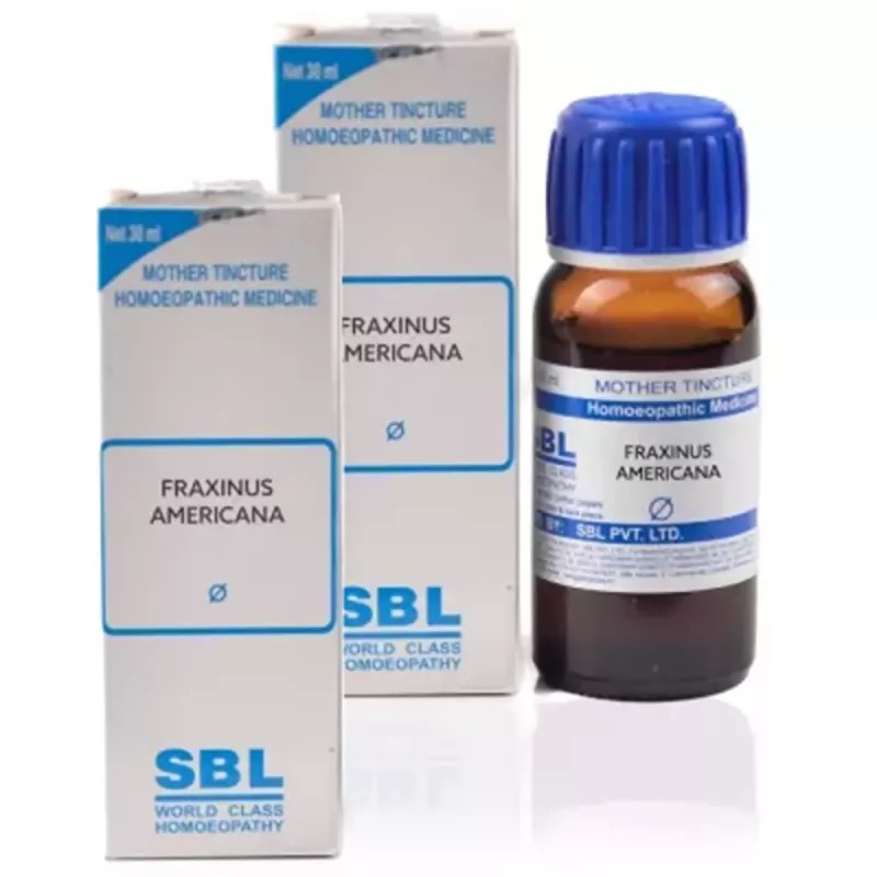 SBL Fraxinus Americana 1X (Q) (30ml, Pack of 2)