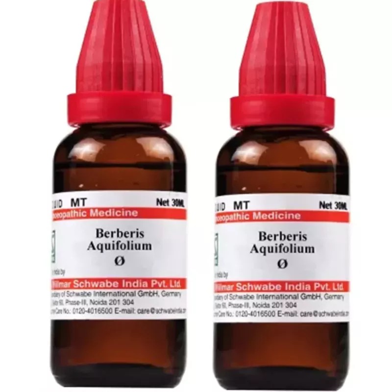 Willmar Schwabe India Berberis Aquifolium 1X (Q) (30ml, Pack of 2)