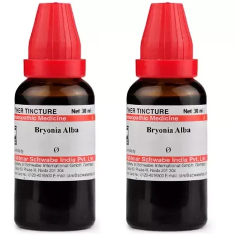 Willmar Schwabe India Bryonia Alba 1X (Q) (30ml, Pack of 2)