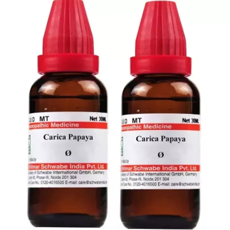 Willmar Schwabe India Carica papaya 1X (Q) (30ml, Pack of 2)