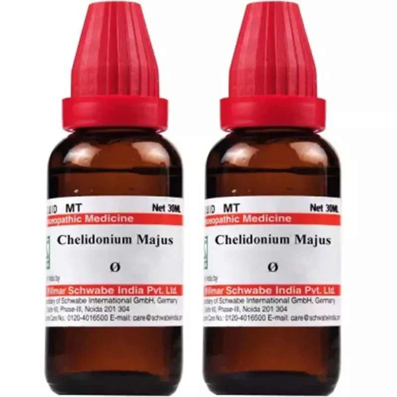 Willmar Schwabe India Chelidonium Majus 1X (Q) (30ml, Pack of 2)