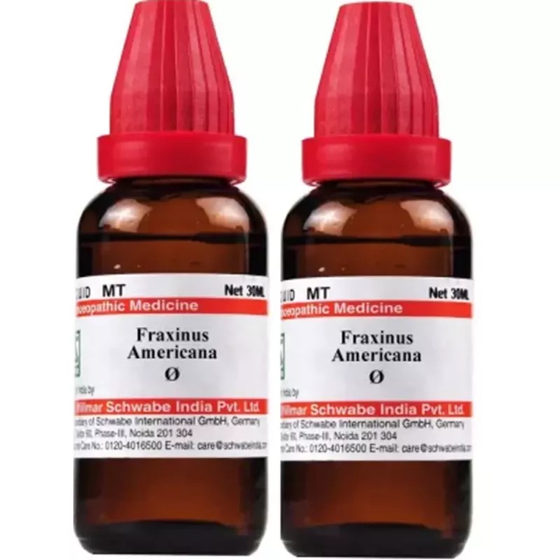 Willmar Schwabe India Fraxinus Americana 1X (Q) (30ml, Pack of 2)