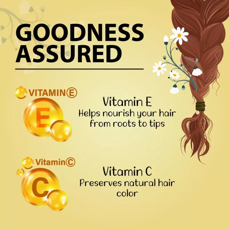 Bakson Sunny Hair Color (Burgundy) (20g, Pack of 2)