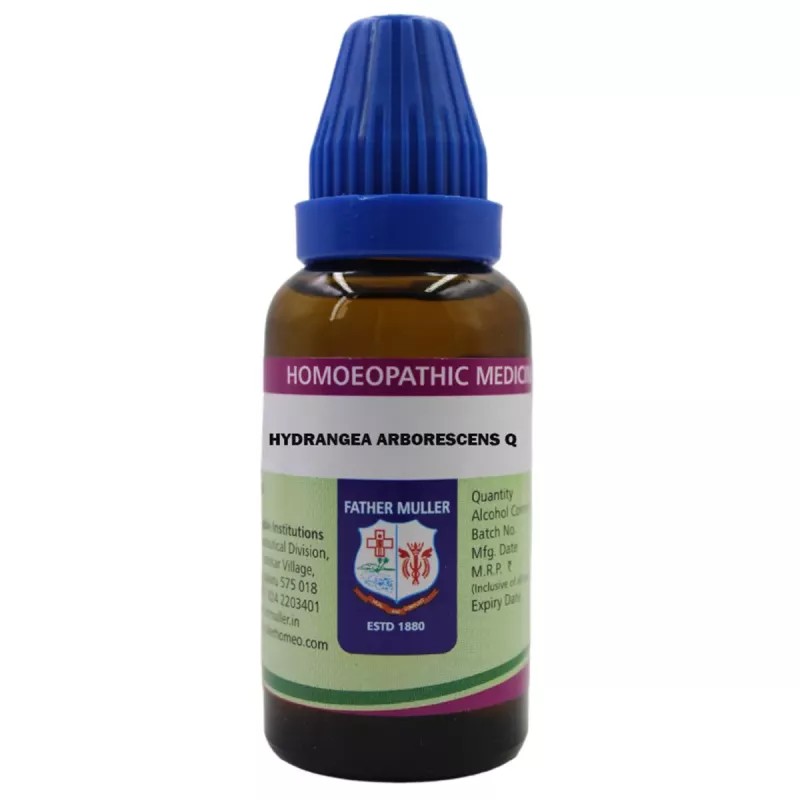 Fr Muller Hydrangea Arborescens 1X (Q) (30ml)