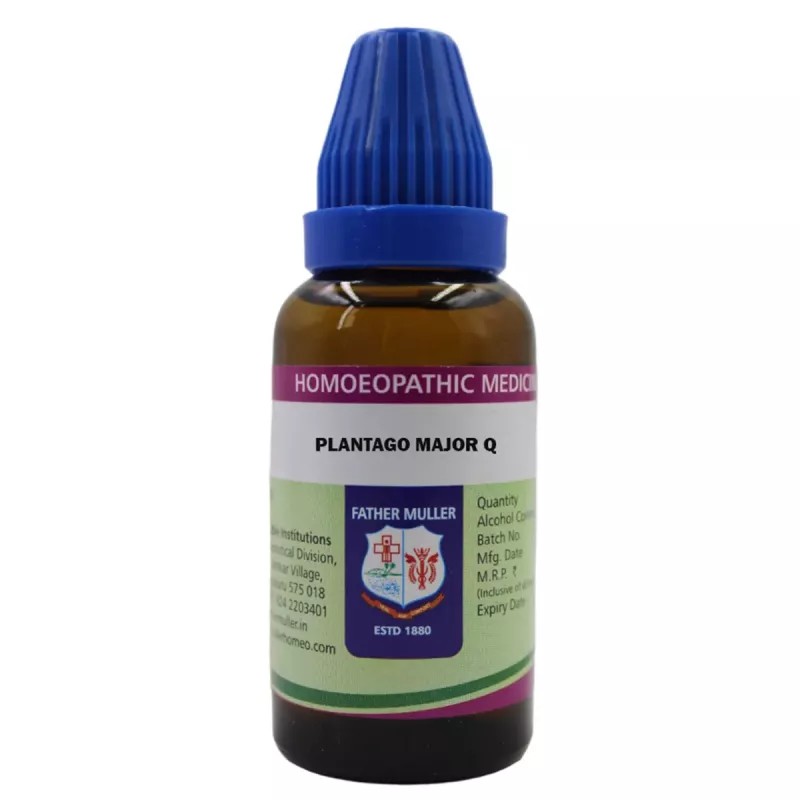 Fr Muller Plantago Major 1X (Q) (30ml)