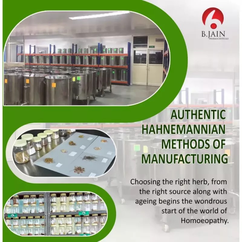 BJain Baptisia Tinctoria 1X (Q) (30ml, Pack of 2)