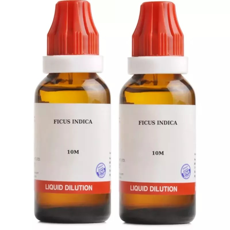 BJain Ficus Indica 10M CH (30ml, Pack of 2)