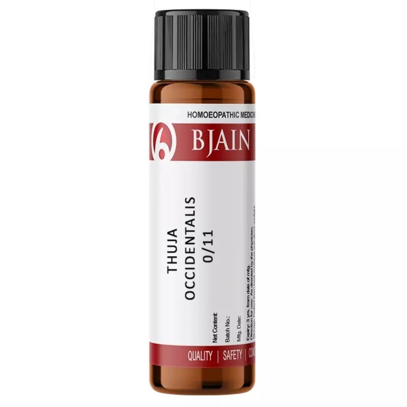 BJain Thuja Occidentalis LM 0/11 (6g)