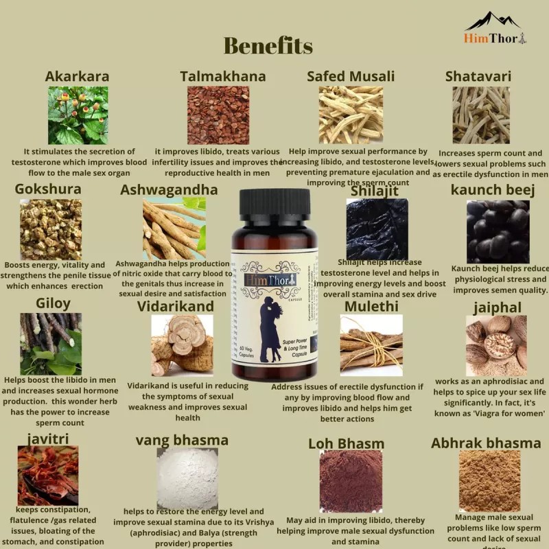 Himthor Shilajit capsule + Power Capsule + massage Oil (Each 60caps + 60ml) (1Pack)