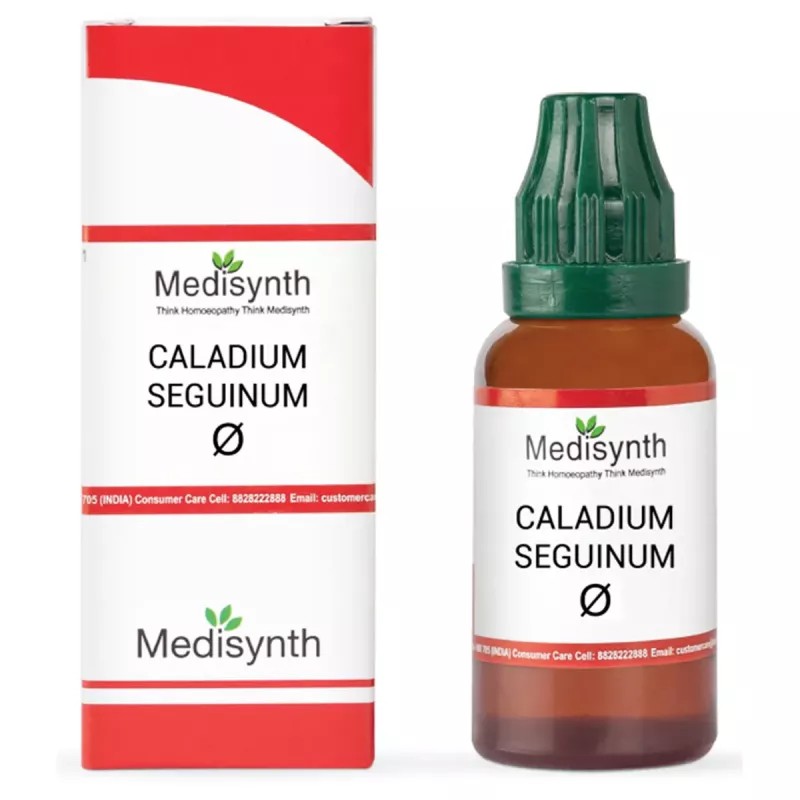 Medisynth Caladium Seguinum 1X (Q) (30ml)