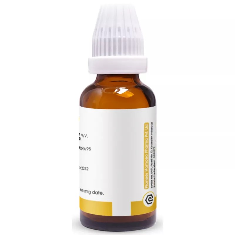 Pioneer Berberis Vulgaris 1X (Q) (30ml)