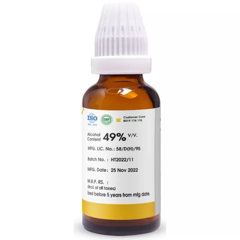 Pioneer Cactus Grandiflorus 1X (Q) (30ml)