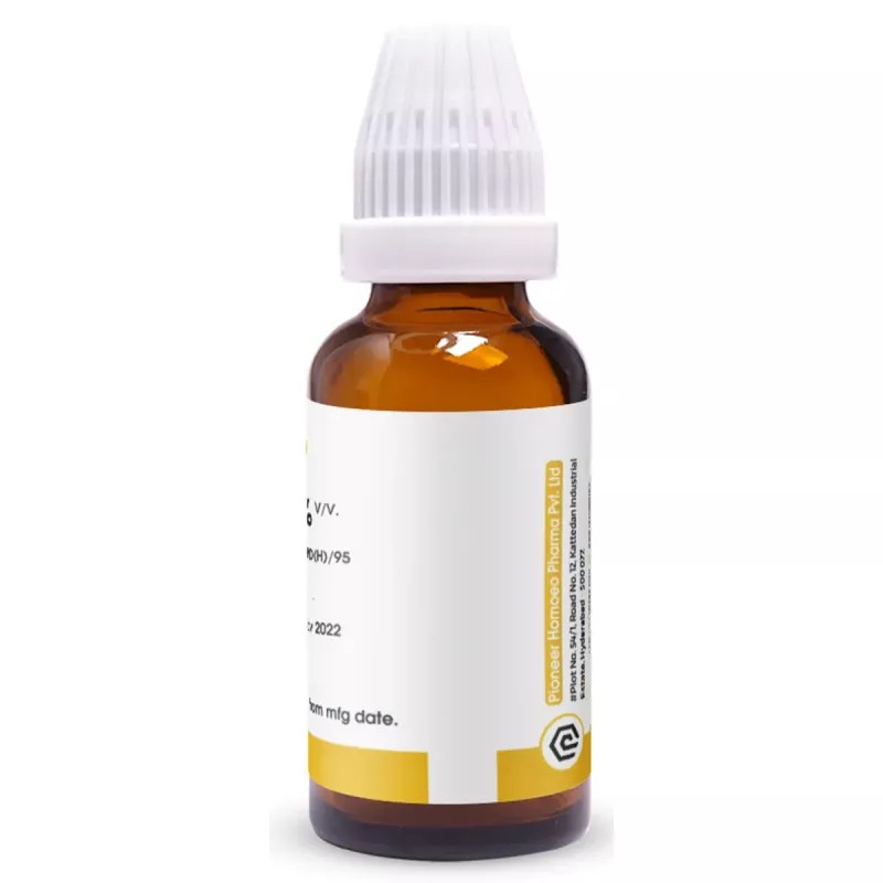 Pioneer Cactus Grandiflorus 1X (Q) (30ml)