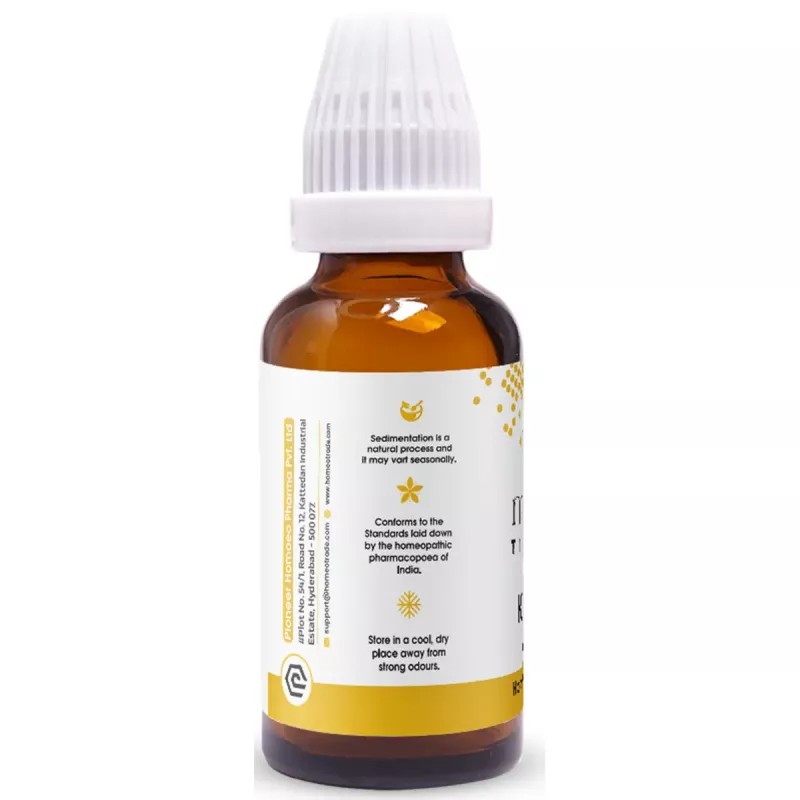 Pioneer Cactus Grandiflorus 1X (Q) (30ml)