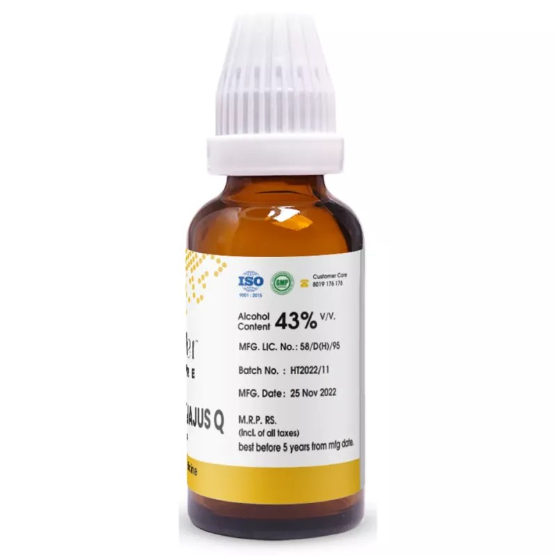 Pioneer Chelidonium Majus 1X (Q) (30ml)