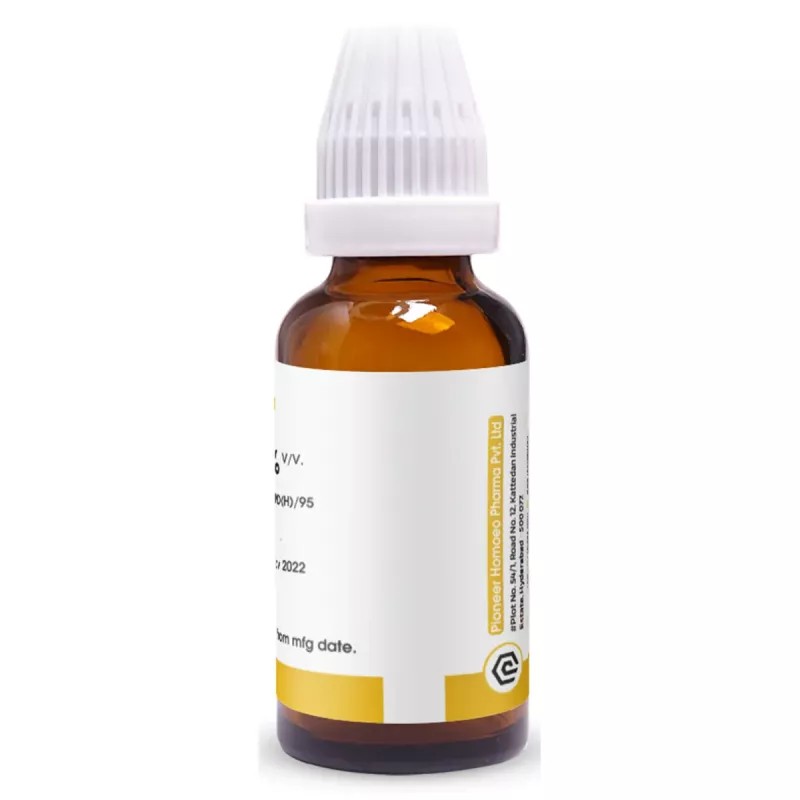 Pioneer Cydonia Vulgaris 1X (Q) (30ml)