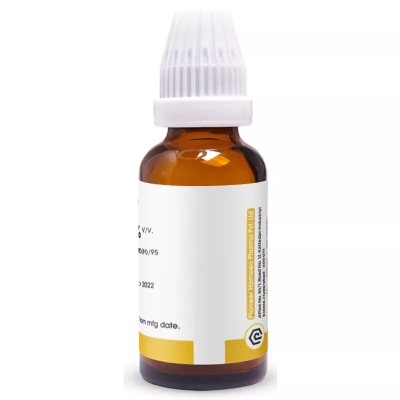 Pioneer Damiana 1X (Q) (30ml)