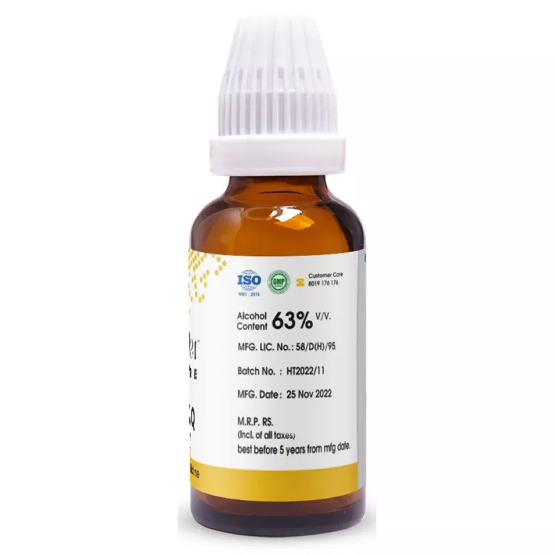 Pioneer Damiana 1X (Q) (30ml)