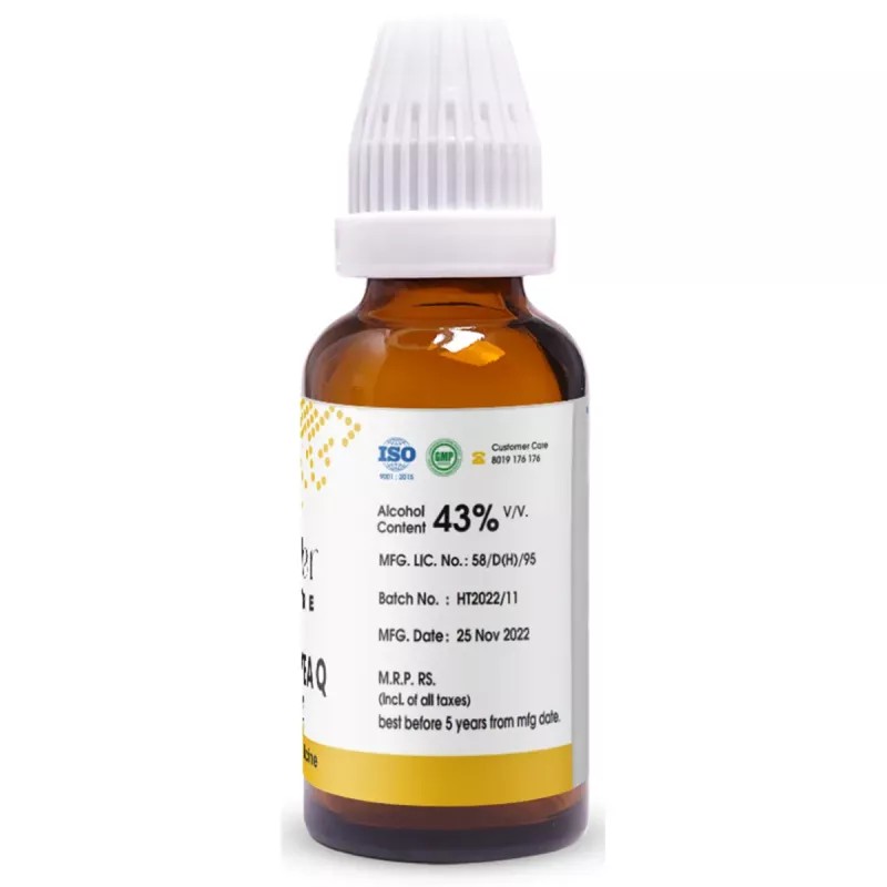 Pioneer Rhus Toxicodendron 1X (Q) (30ml)
