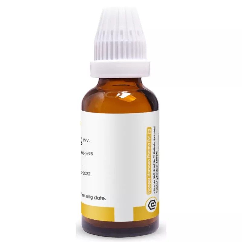 Pioneer Rhus Toxicodendron 1X (Q) (30ml)