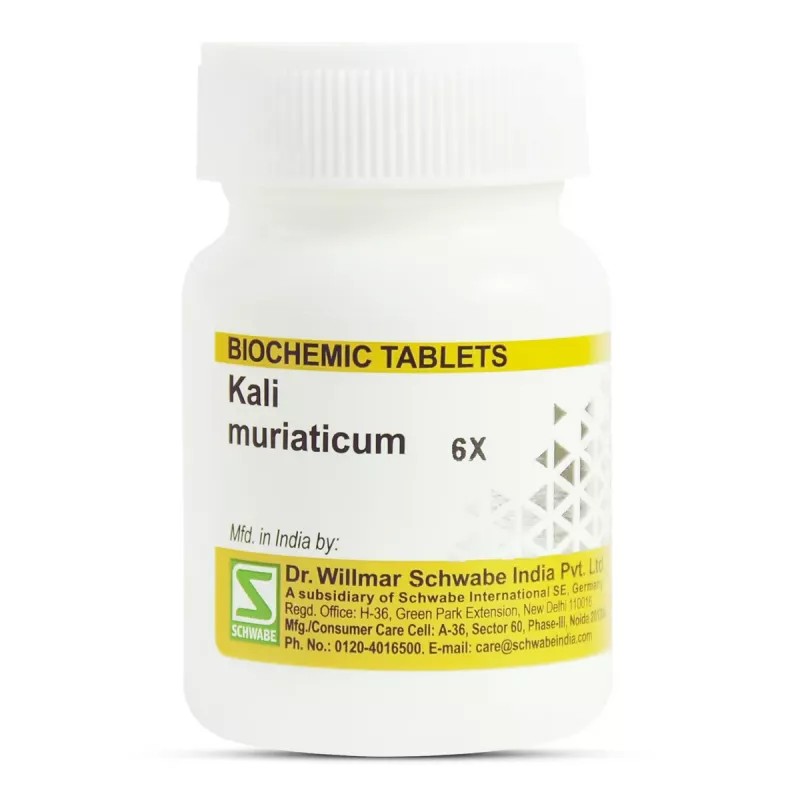Willmar Schwabe India Kali Muriaticum 6X (25g)