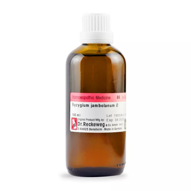 Dr Reckeweg Syzygium Jambolanum 1X (Q) (100ml)