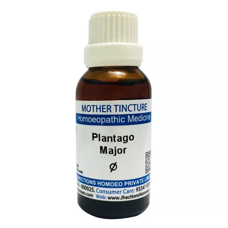 Jhactions Plantago Major 1X (Q) (30ml)