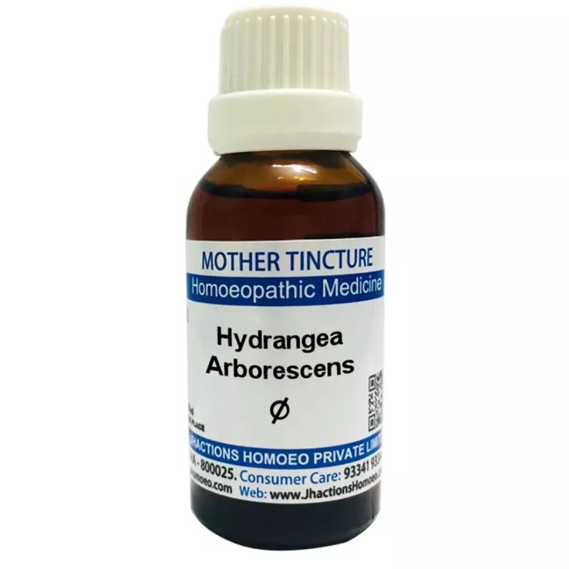 Jhactions Hydrangea Arborescens 1X (Q) (30ml)