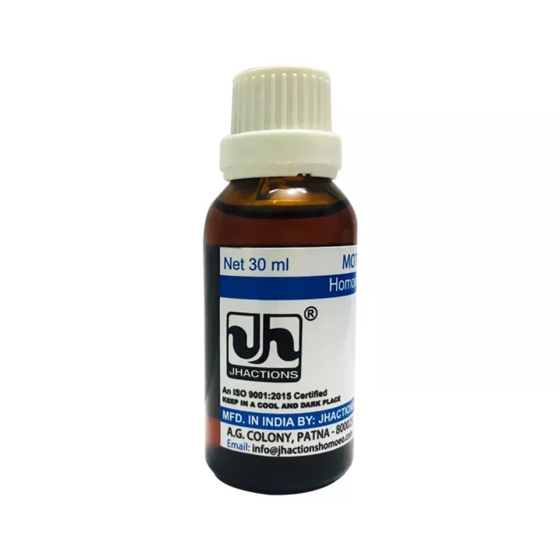 Jhactions Hydrangea Arborescens 1X (Q) (30ml)