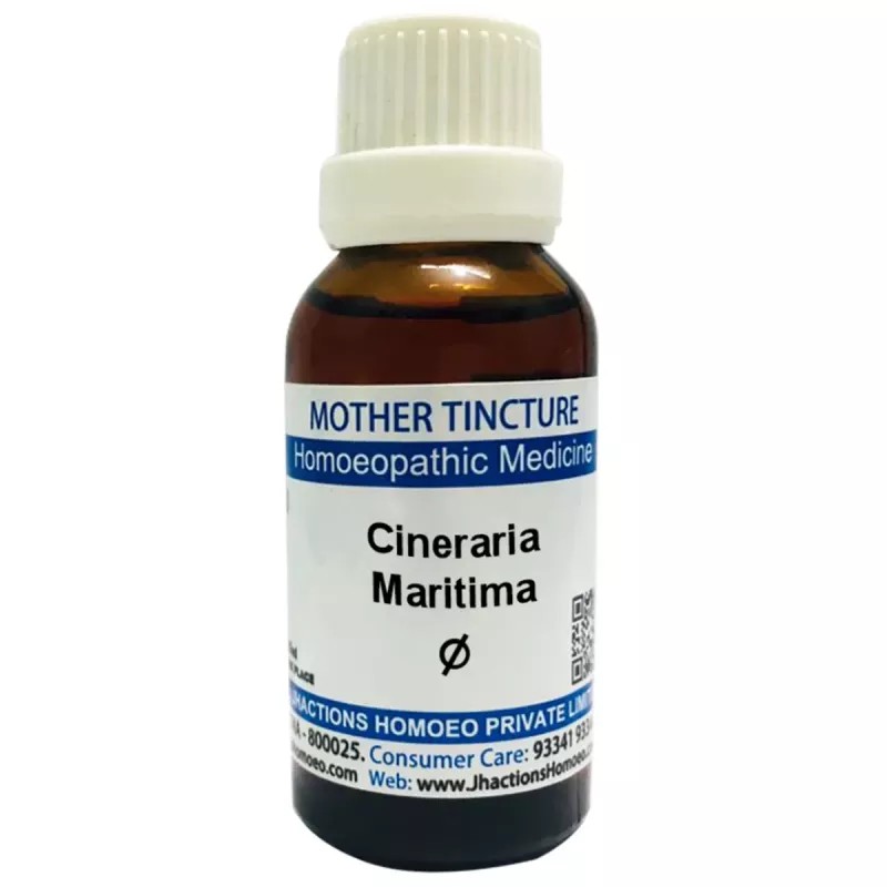 Jhactions Cineraria Maritima 1X (Q) (30ml)