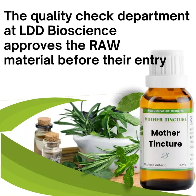 LDD Bioscience Leptandra 1X (Q) (30ml)