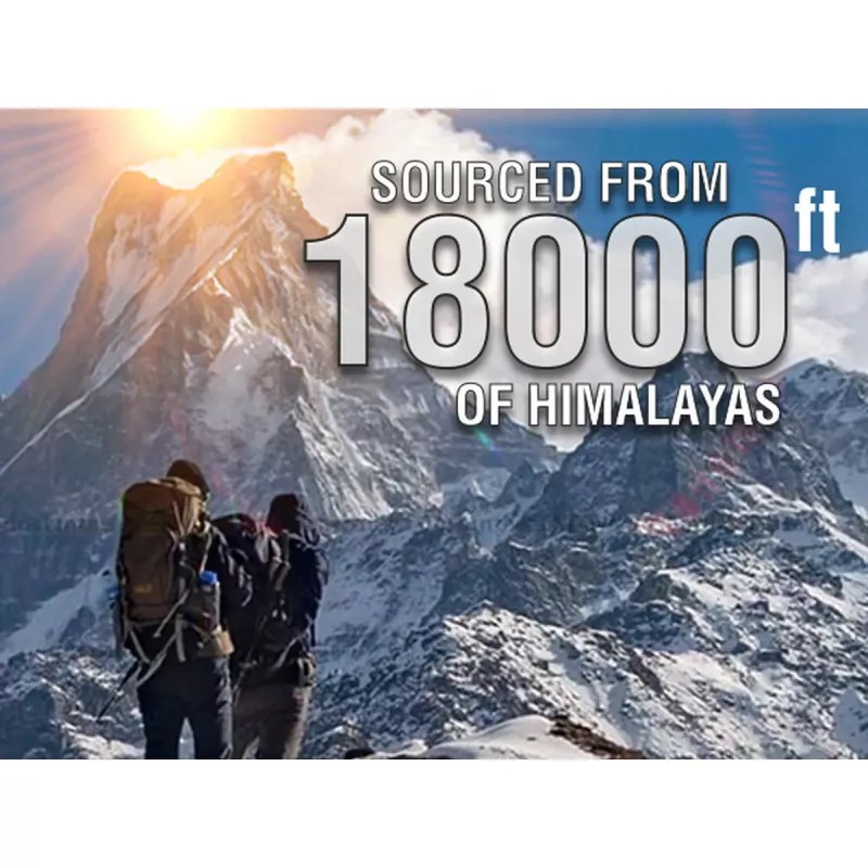 AVG Himalayan Shilajit Resin (20g)