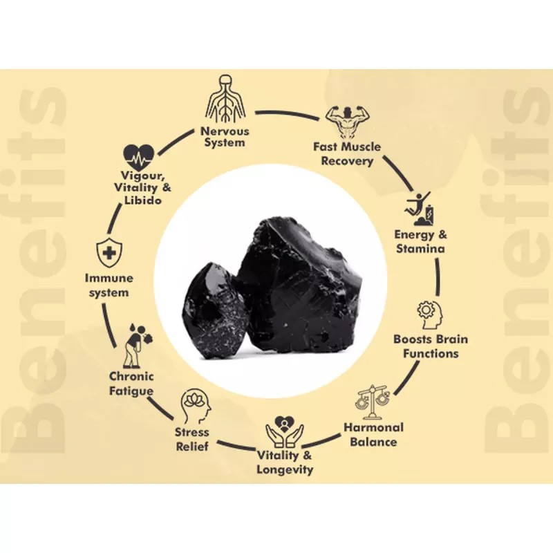 AVG Himalayan Shilajit Resin (20g)