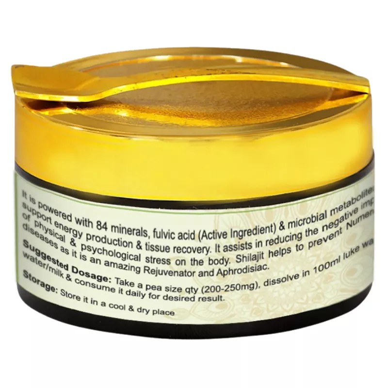 Neonat Health Shilajit Resin (20g)