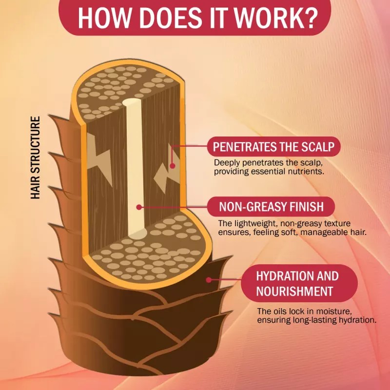 7Days Natural Onion Black Seed Hair Oil (100ml)