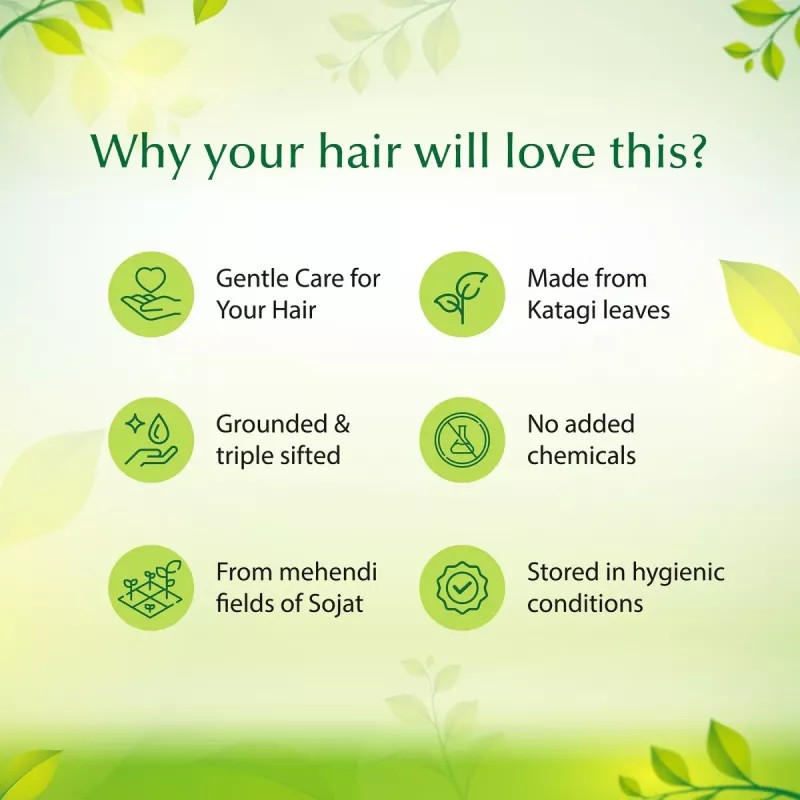 Neeta Mehendi Powder (25g, Pack of 10)