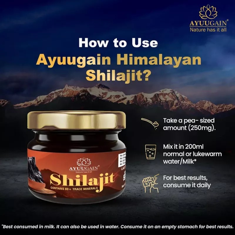 Ayuugain Shilajit Resin Himalayan Origin (30g)