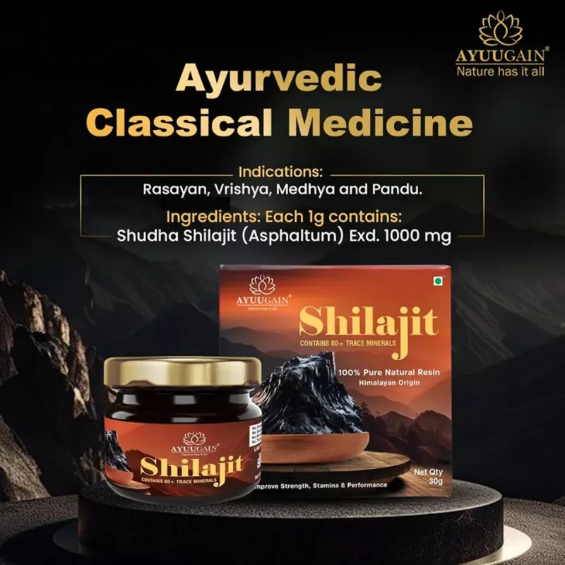 Ayuugain Shilajit Resin Himalayan Origin (30g)