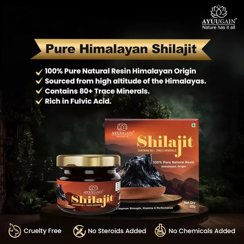 Ayuugain Shilajit Resin Himalayan Origin (30g)