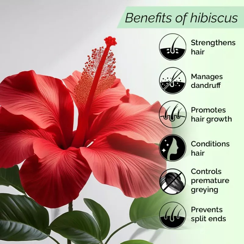 Pyoura Hibiscus Spray Hair Tonic (100ml)