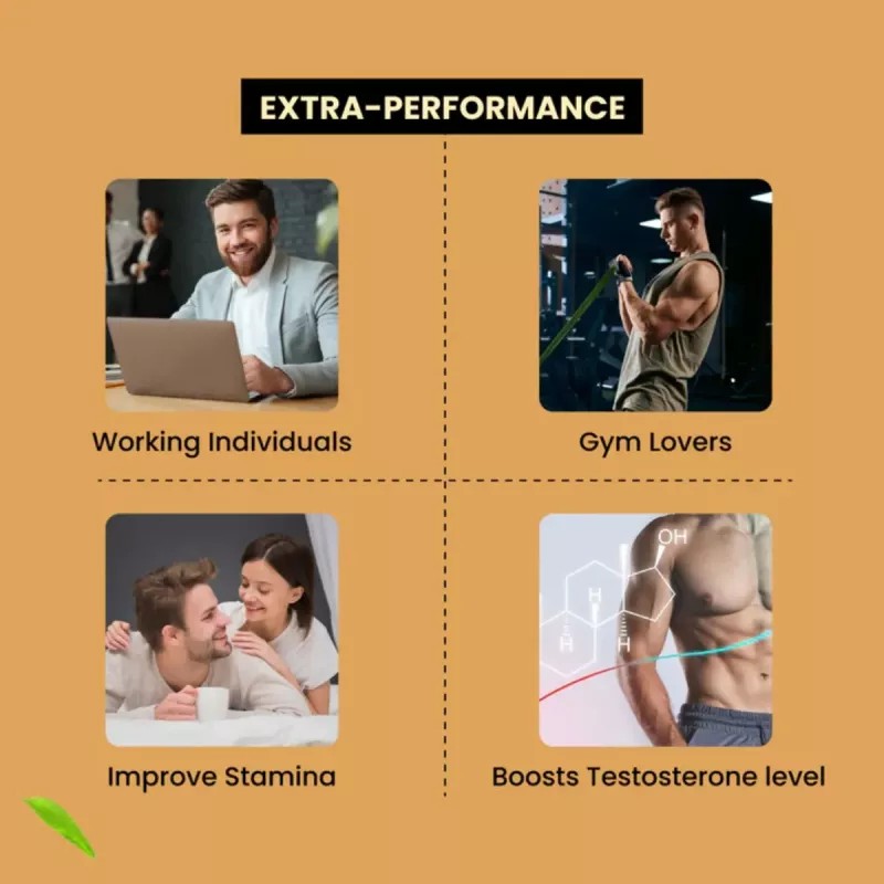 Cipzer Shilajit Ultra Gold Capsule (30cap, Pack of 2)