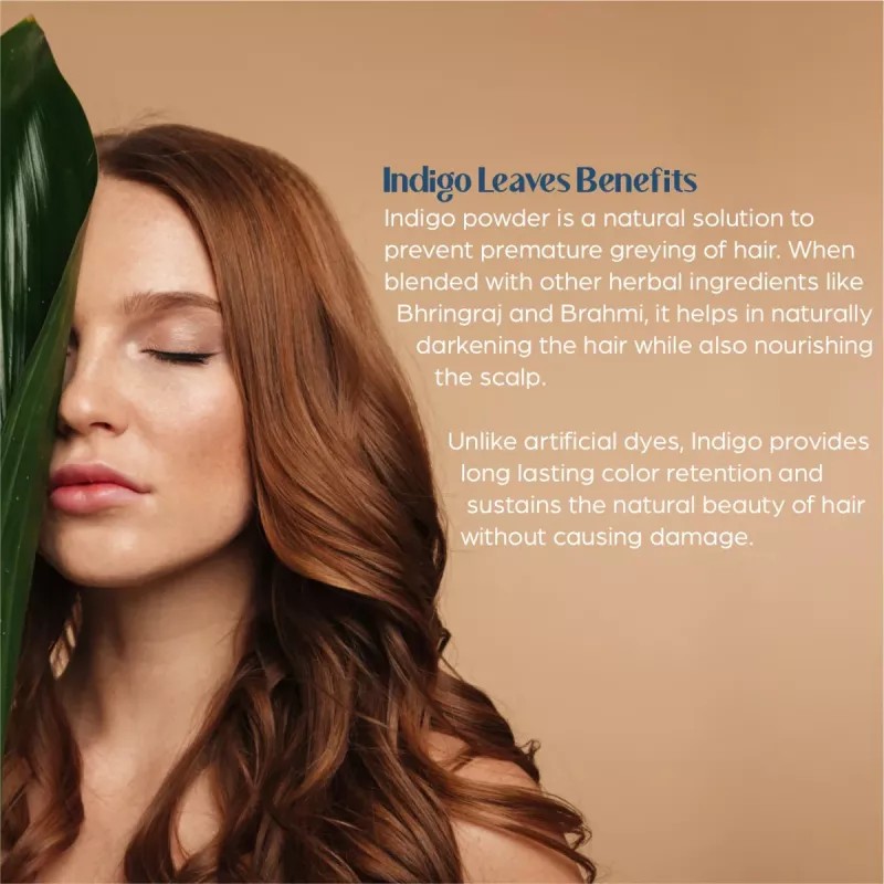 Habibs Indigo Powder For Hair (200g, Pack of 2)